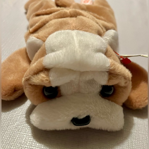 RARE And RETIRED TY BEANIE BABY WRINKLES TAN & WHITE BULL DOG PUPPY 8" 1996 Toy - Picture 11 of 16